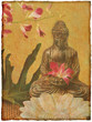 buddha card