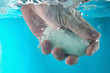 washing hands washing hands
