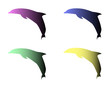 dolphins
