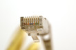 network plug