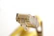network plug