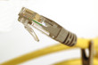 network plug network plug