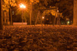 autumn park 2