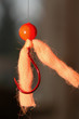 corkie fishing lure