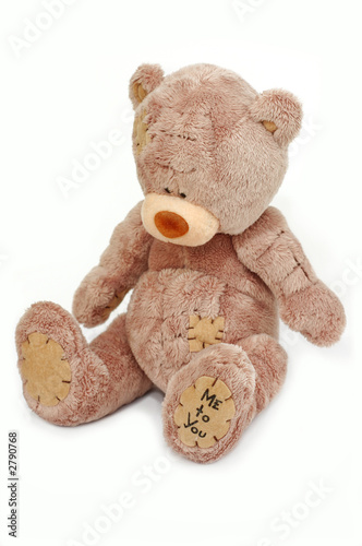 Photo: teddy me to you teddy me to you
