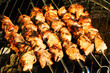 juicy roasted kebabs on the bbq