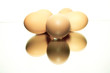 oeufs