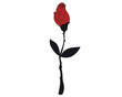 rose illustration