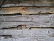 planche de bois planche de bois