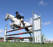 Images : white show jumper
