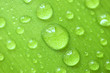 hintergrund