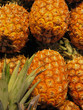 pineapples