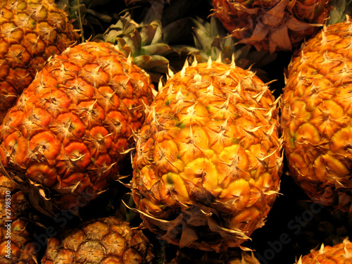 Photo: pineapple pineapple