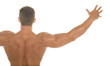 body builder back