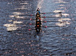 we are all in the same boat