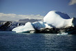 blue and white icebergs