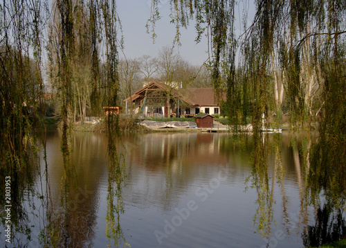 tranquil waters