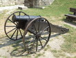 old cannon