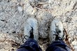 dirt