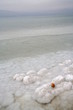 dead sea shore