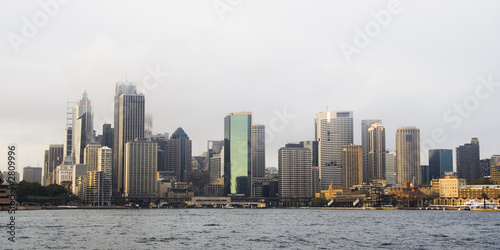 sydney skyline in fog