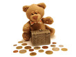 teddy bear&treasure