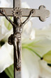 Photo en ligne au meilleur prix cross and easter lilies