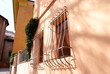 finestre a bologna
