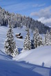 casa innevata sull'alpe di siusi casa innevata sull'alpe di siusi