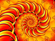 fractal orange spiral fractal orange spiral