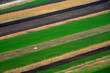 agriculture