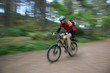 biken im wald