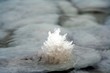 dead sea crystal