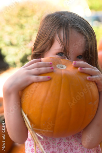 Photo: little girl holding pumpkin little girl holding pumpkin