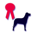 dog award