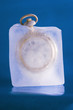 frozen in time 1