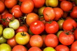 tomatoes