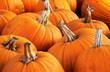 pumpkins