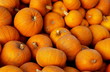 pumpkins