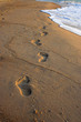 footprints in the sand.