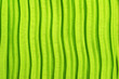 die farbe grün