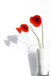 coquelicot 1