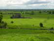 verte irlande