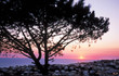 Photo: village horizon village horizon