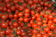 sunny tomatoes on the background