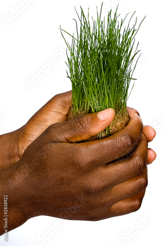 save the environment