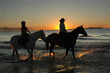 horses excercising at daybreak on the beach