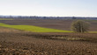 countryside