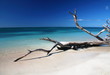 caribic selection cuba v