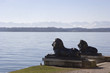 starnbergersee am morgen starnbergersee am morgen